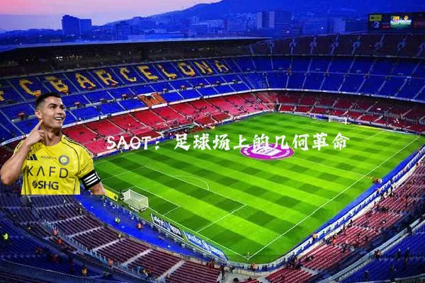 SAOT：足球场上的几何革命